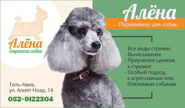 Стрижка для собак в новомосковске тульской области